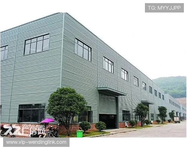 问鼎实业有限公司在行业中的发展历程与未来战略分析助力企业问鼎实业有限公司实现持续创新与市场突破的实用策略探讨问鼎实业有限公司如何通过技术创新提升企业竞争力实现行业问鼎的成功经验分享