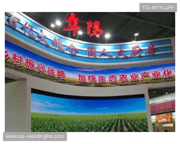 问鼎平台：助力中小企业快速成长的优质服务平台